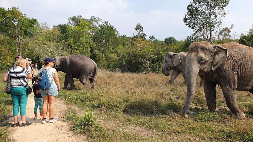 Kulen Elephant Forest & Tonlesap Lake - Key points worth knowing