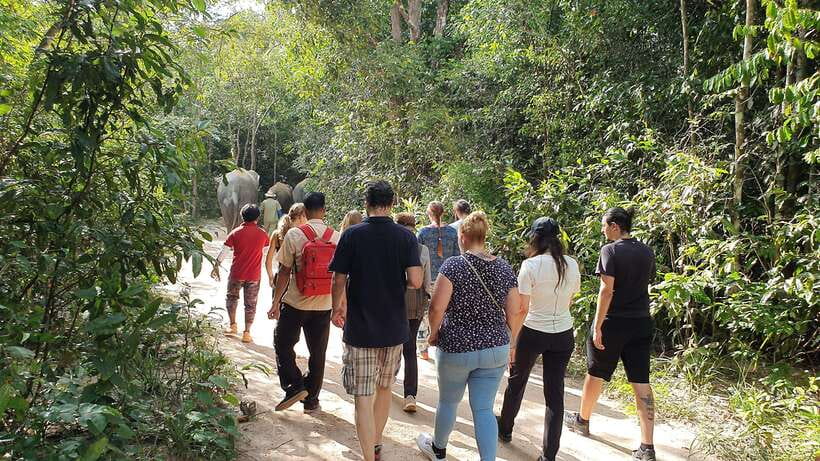 Kulen Elephant Forest & Tonlesap Lake - What the $126 price really buys