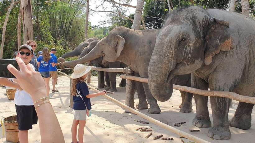 Kulen Elephant Forest & Tonlesap Lake - Why this Siem Reap day trip feels different
