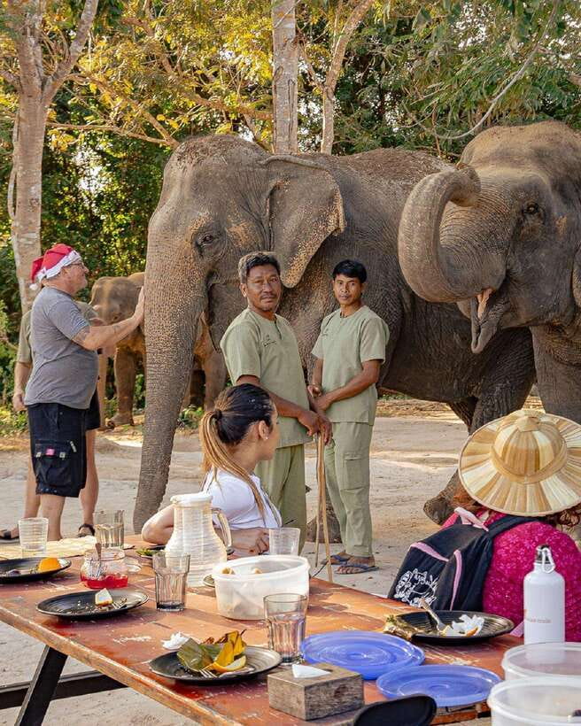 Kulen Elephant Forest & Tonlesap Lake - Meeting the elephants at Kulen Elephant Forest