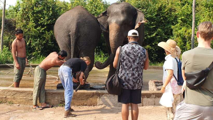 Kulen Elephant Forest & Tonlesap Lake - Cruising through Kompong Phluk