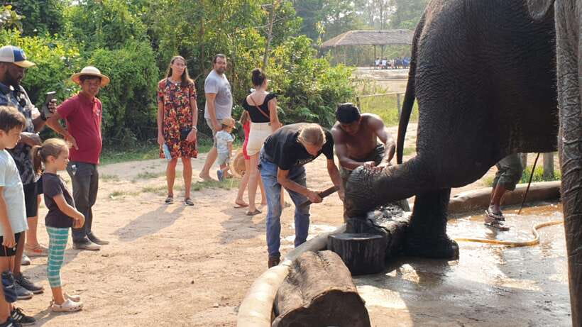 Kulen Elephant Forest & Tonlesap Lake - Guides, transport, and how the day is run