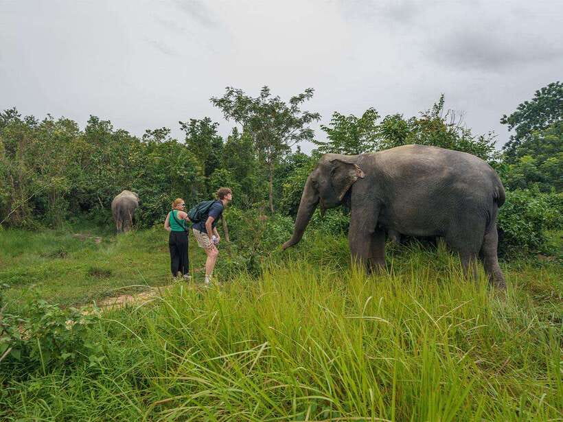 Kulen Elephant Forest Tour with Hotel Pick-up & Drop off - Water, mud, and the most joyful moment