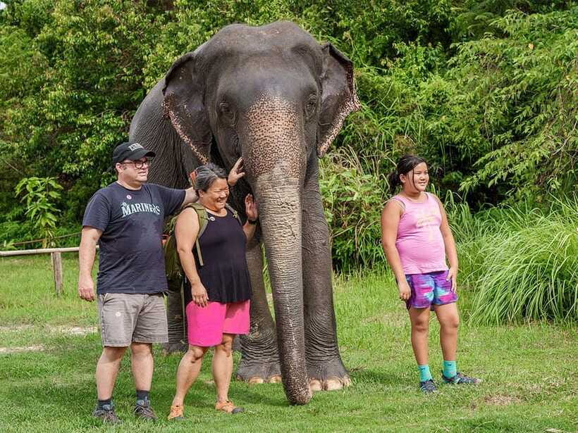 Kulen Elephant Forest Tour with Hotel Pick-up & Drop off - What the experience does especially well