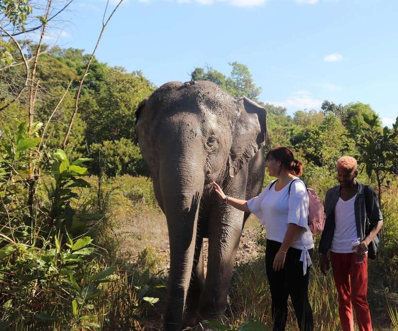 Kulen Mountain Day Trip with Picnic & Kulen Elephant Forest - Why Phnom Kulen makes a good change from Angkor