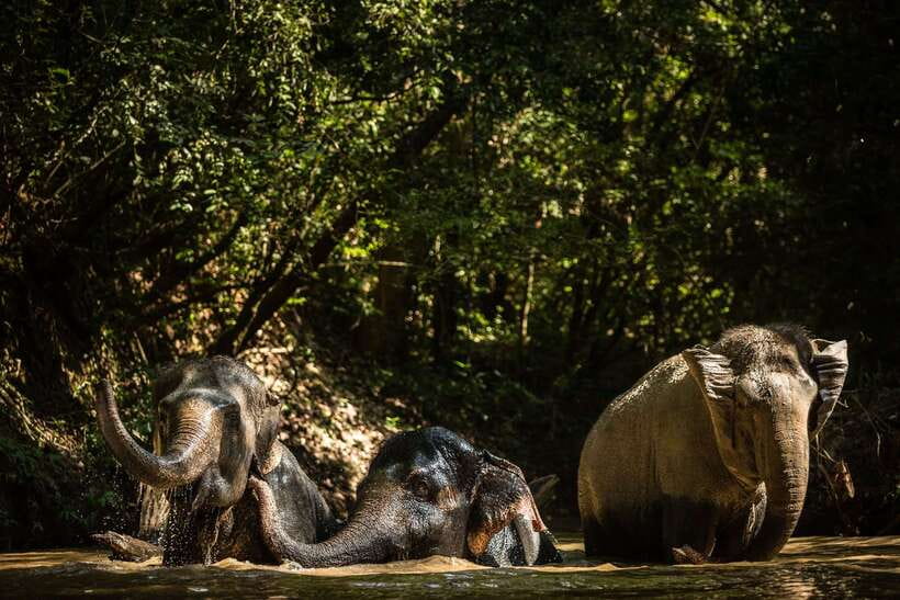 Kulen Mountain Day Trip with Picnic & Kulen Elephant Forest - The one-hour road to Phnom Kulen