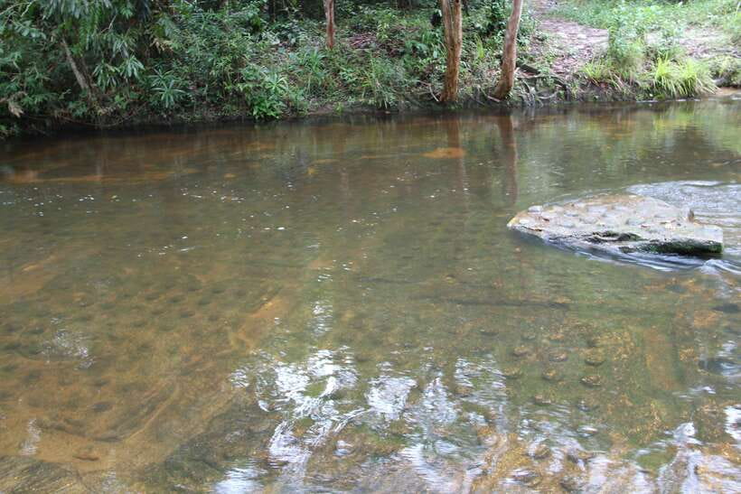 Kulen Mountain: Full-Day Private Waterfall Tour - Should you book the Phnom Kulen private tour?