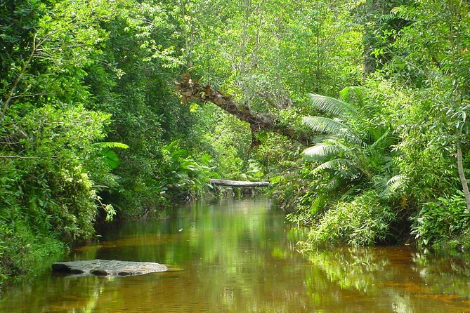 Kulen Waterfall and 1000 Lingas River Private Tour - Cooling off at Phnom Kulen waterfall