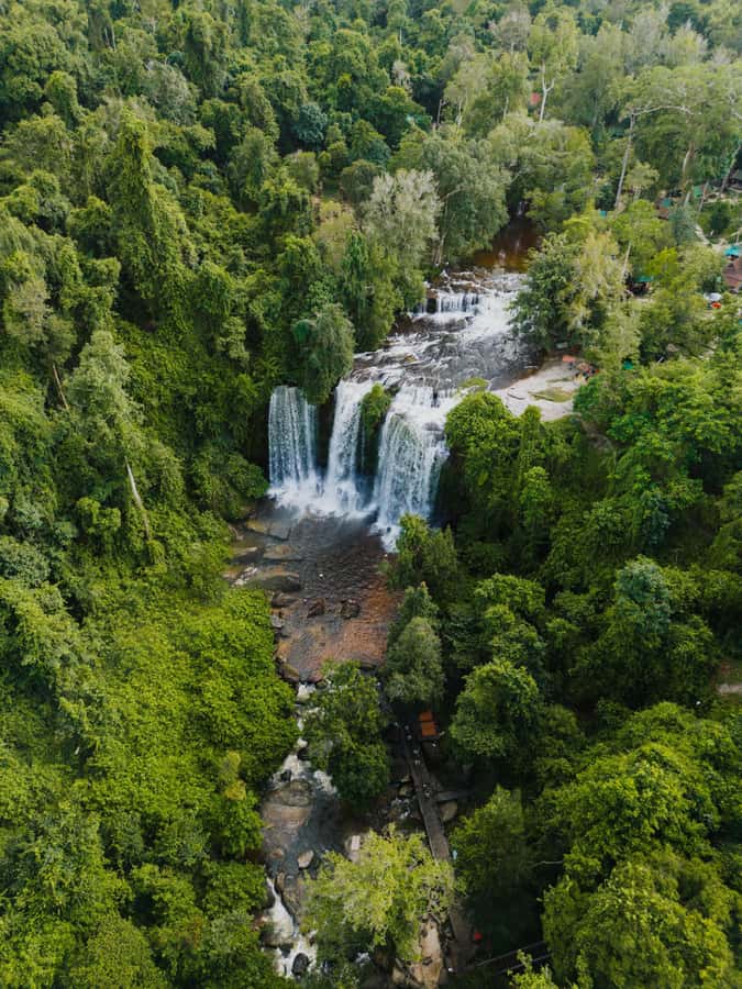 Kulen Waterfall: Rise and Shine with Cliff, Village w/ Guide - The road from Siem Reap to the sugar-palm village