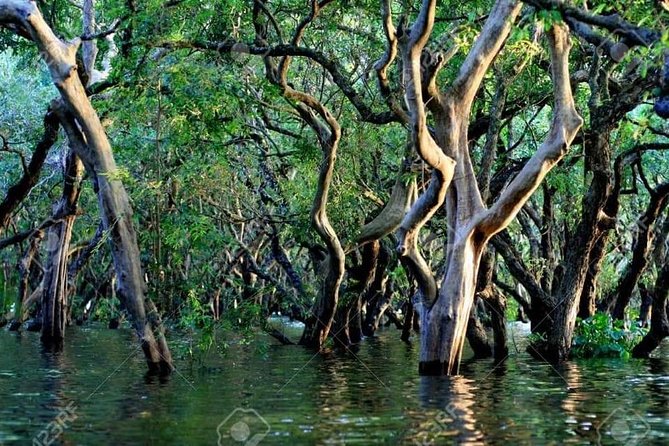 Mechrey Floating Village Tour & Mangrove from Siem Reap - Who will get the most from Mechrey
