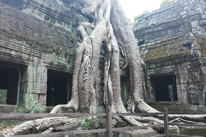 One day Angkor temple tour with private driver - Who should book this Angkor tour?