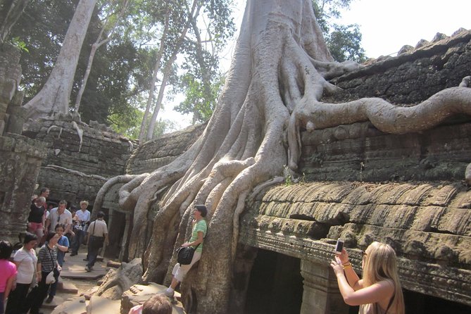 One Day Angkor World Heritage Tour - Who should book this Angkor tour?