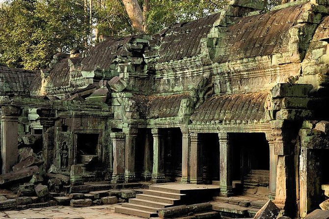One Day Private Guide Tour of Angkor Thom, Bayon, Ta Phrom & Angkor Wat - Two hours at Ta Prohm