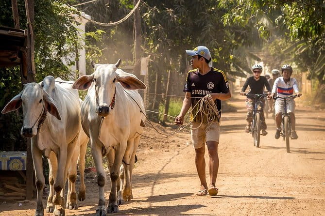 Oudong Temples & Phnom Prasith Private Tour from Phnom Penh - Why the Tonle Sap return matters