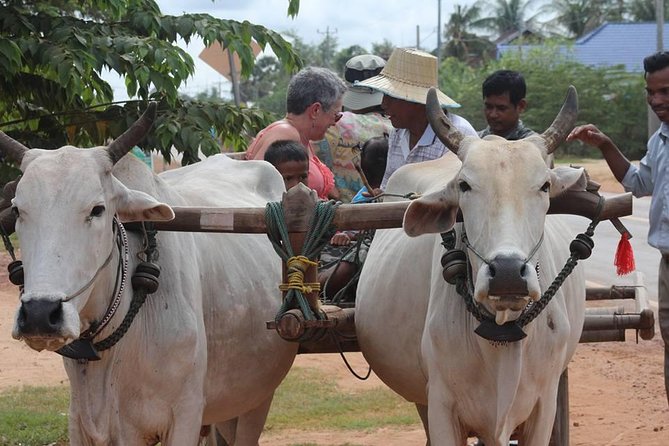 Ox-cart Culture Tour, Countryside Experince in Siem Reap - Key points to know before you book