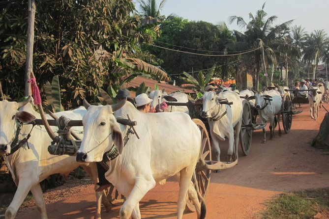 Ox-cart Culture Tour, Countryside Experince in Siem Reap - The 30 to 40-minute ox-cart ride