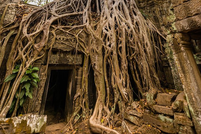 Personalised Angkor Wat Day Tour by an Air-conditioned Car - Angkor Thom’s South Gate: a quick but useful stop