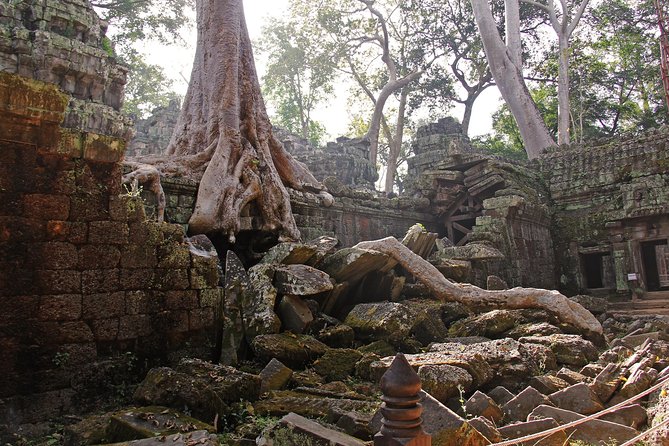 Personalised Angkor Wat Day Tour by an Air-conditioned Car - The car, pickup, and practical comfort