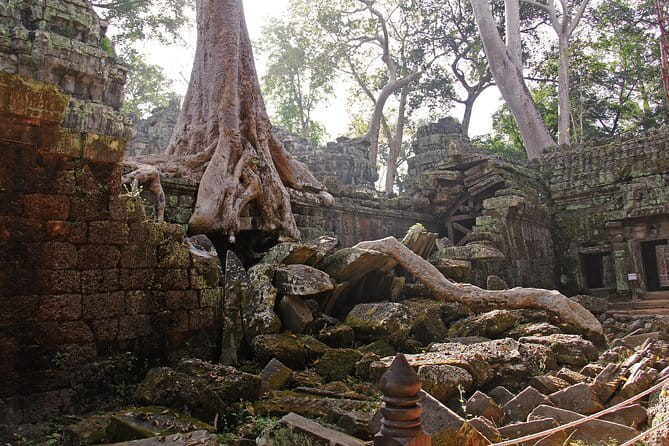 Personalised Angkor Wat Sunrise Off-the-Beaten Track Tour - Why the vintage Jeep changes the Angkor morning
