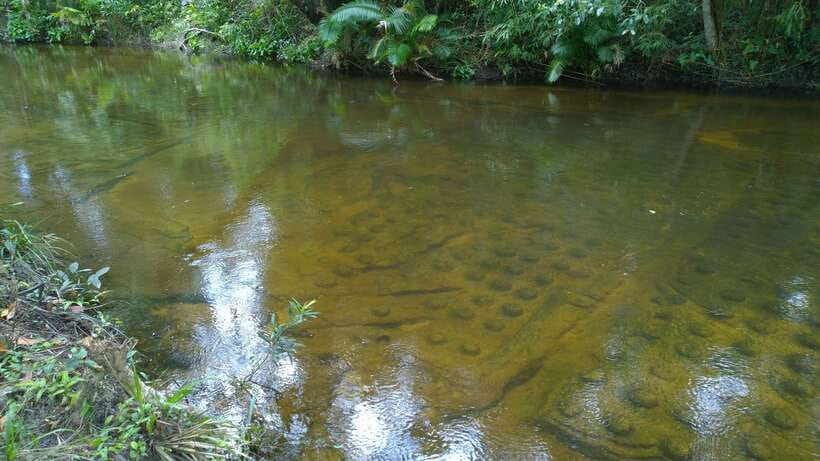 Phnom Kulen National Park Admission Ticket - Planning your own route and timing