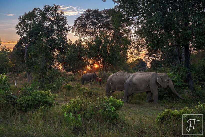 Phnom Kulen Park: Tour with Elephant Forest from Siem Reap - The waterfall, the reclining Buddha, and a change of pace
