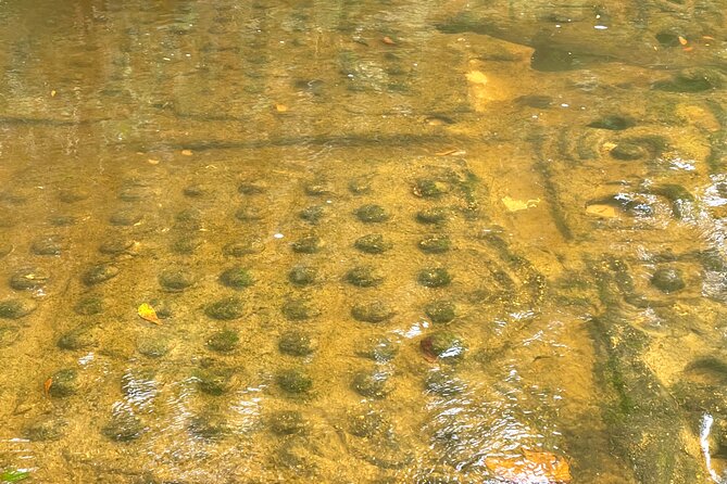 Phnom Kulen Waterfall and Banteay Srei Temple Tour from Siem Reap - Banteay Srei and its tiny pink sandstone carvings