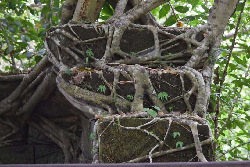 Prasat Thom, Koh Ker Group & Beng Mealea Full-Day Tour - Who should book this private temple day