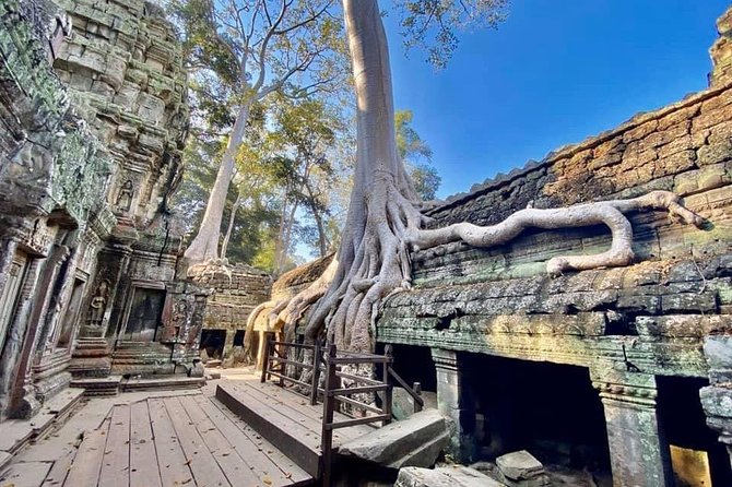 Preah Khan, Ta Prohm, Bayon Off Beaten Track - Three temples, three very different moods