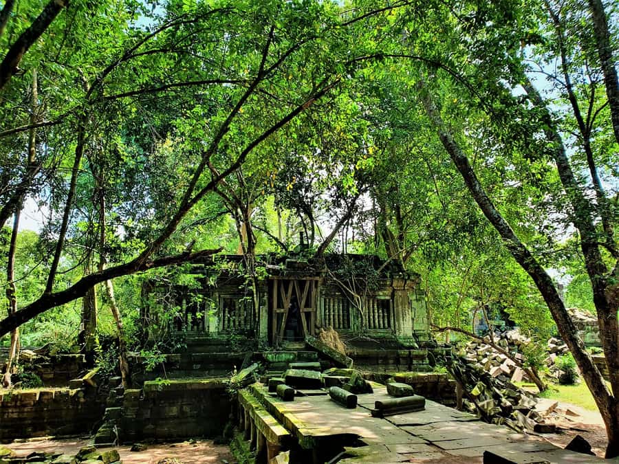 Preah Vihear Temple Koh Ker & BengMealea Tour from Siem Reap - Who will enjoy this day most