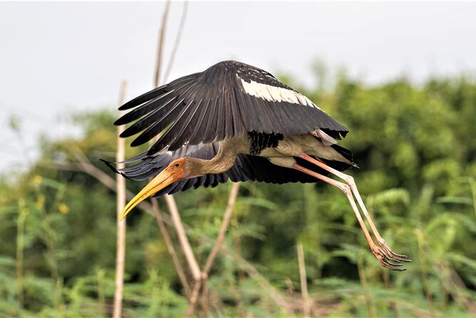 Prek Toal Birds Sanctuary and floating Village Private Day Tour - Chong Kneas, Mechrey, and the changing route