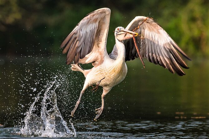 Prek Toal Birds Sanctuary and floating Village Private Day Tour - Prek Toal Floating Village gives the day its human side