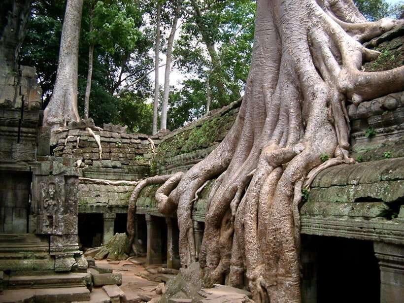 Private Angkor Sunrise, Guide Breakfast and Tuktuk included - Angkor Thom’s South Gate at 12:30 PM