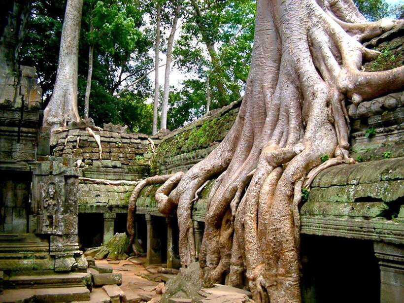 Private Angkor Sunrise, Guide Breakfast and Tuktuk included - Who Should Book This Early-Morning Route