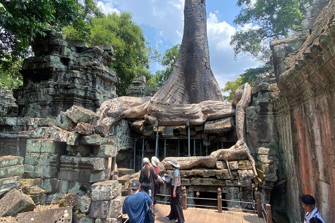 Private Angkor Wat and Lost Temple Jungle Tour - What the $40 price really covers