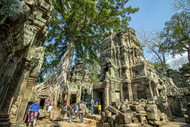 Private Angkor Wat Tour & Angkor Park/Heritage With Local Guide - Ta Prohm and the power of the jungle ruins