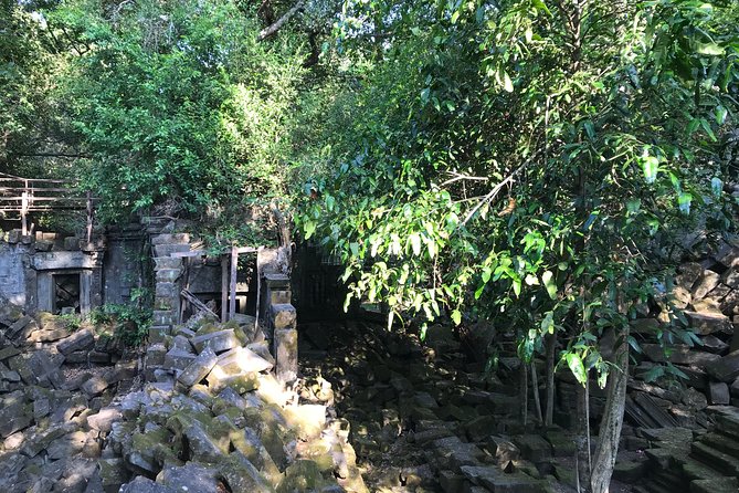 Private Beng Mealea Temple Tour – Hidden Jungle Ruins - The private ride from Siem Reap