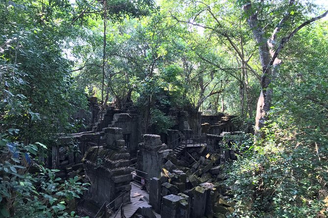 Private Beng Mealea Temple Tour – Hidden Jungle Ruins - Choosing the 8 AM departure
