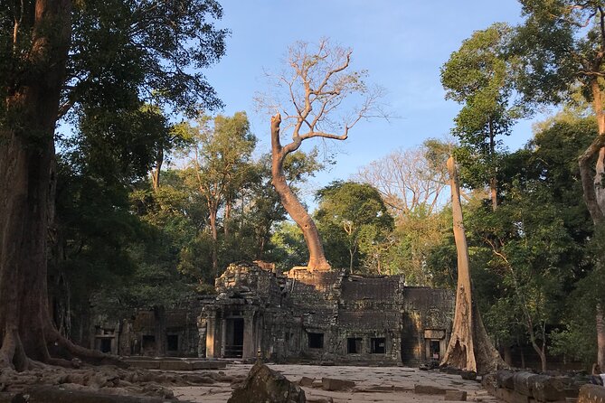 Private Guided Angkor Wat Tour by Lady Tuk Tuk with Monk Blessing - Returning through the countryside