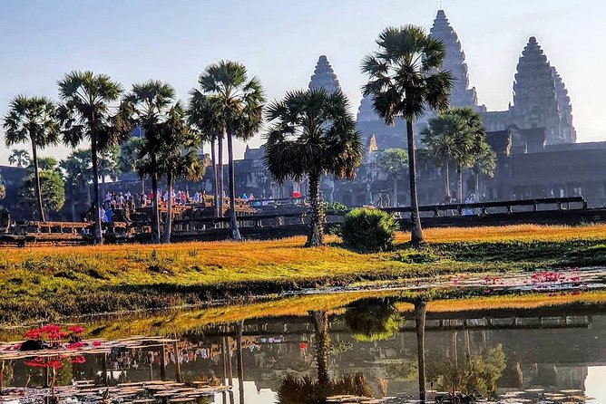 Private Guided Tours-Sunrise Angkor Wat, Ta Prohm, Bayon and more - The Terrace of the Elephants