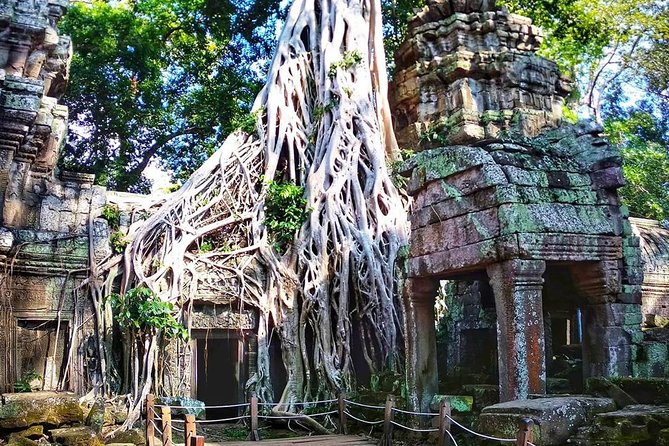 Private Guided Tours-Sunrise Angkor Wat, Ta Prohm, Bayon and more - Bayon finishes the day with stone faces