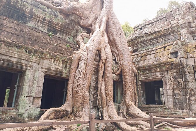 Private One Day Trip-The Best Experience in Siem Reap - Who will get the most from this day?