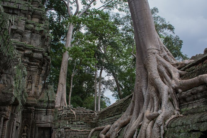 Private Siem Reap Airport Transfer to hotel in town - Why the new airport makes a prebooked ride useful