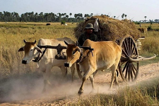 Private Siem Reap Quad Bike Adventure - Key points before you book