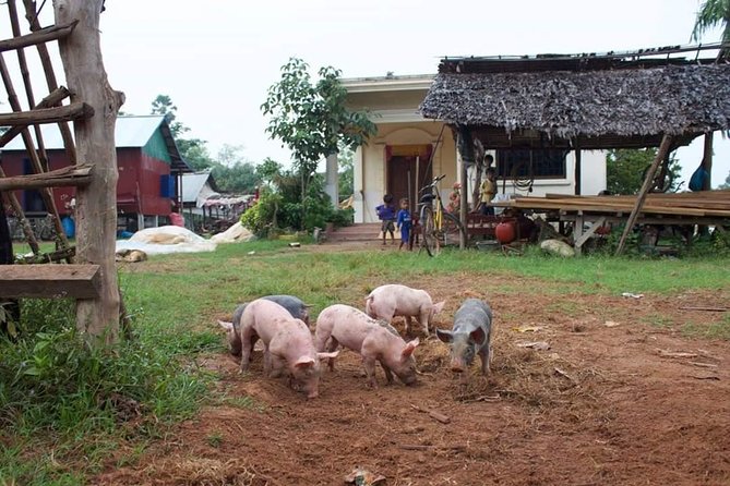 Private Siem Reap Quad Bike Adventure - Who will enjoy this tour most