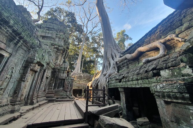 Private Sunrise and Sunset Angkor Park Tour with Rest Mid-Day - What the $68 price really covers