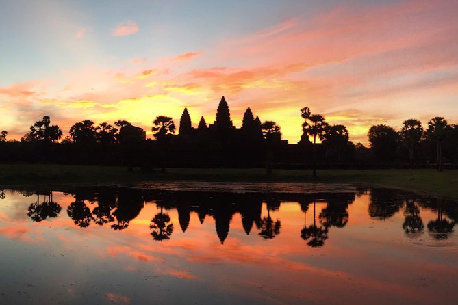 Private: Sunrise Angkor Wat Full Day Guided Visit - Ta Prohm and the trees among the ruins