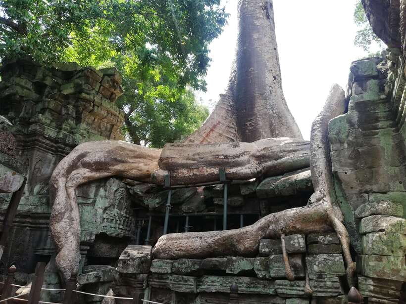 Private Sunrise Angkor Wat Tour - Is $90 per person good value?