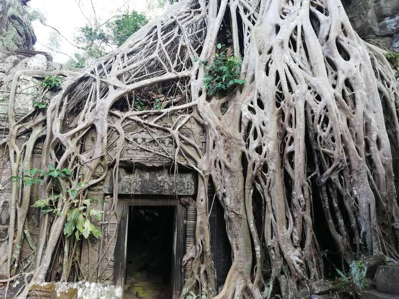 Private Sunrise Angkor Wat Tour - Breakfast and the transition to Angkor Thom