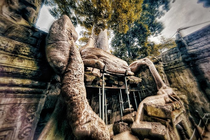 Private sunrise tour to Angkor Wat & other highlights with Professional Guide. - Ta Nei is the quieter temple on the route