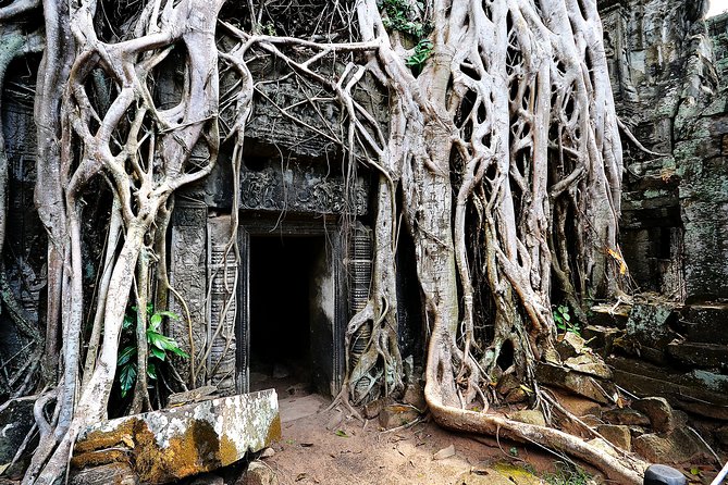 Private Temples Guided Tour (Angkor Wat, Ta Prom & Angkor Thom) - Who should book this half-day tour